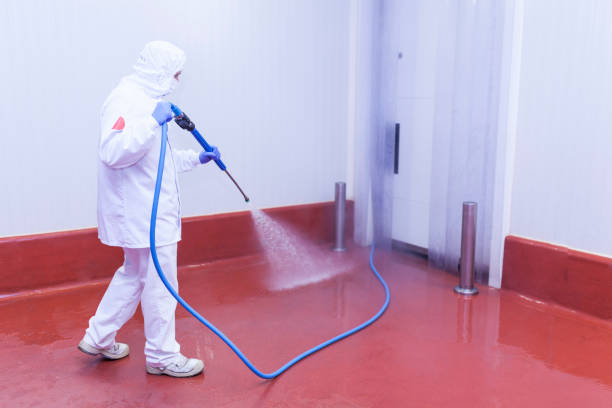 Reliable Dunlap, IL Pressure Washing Services Solutions